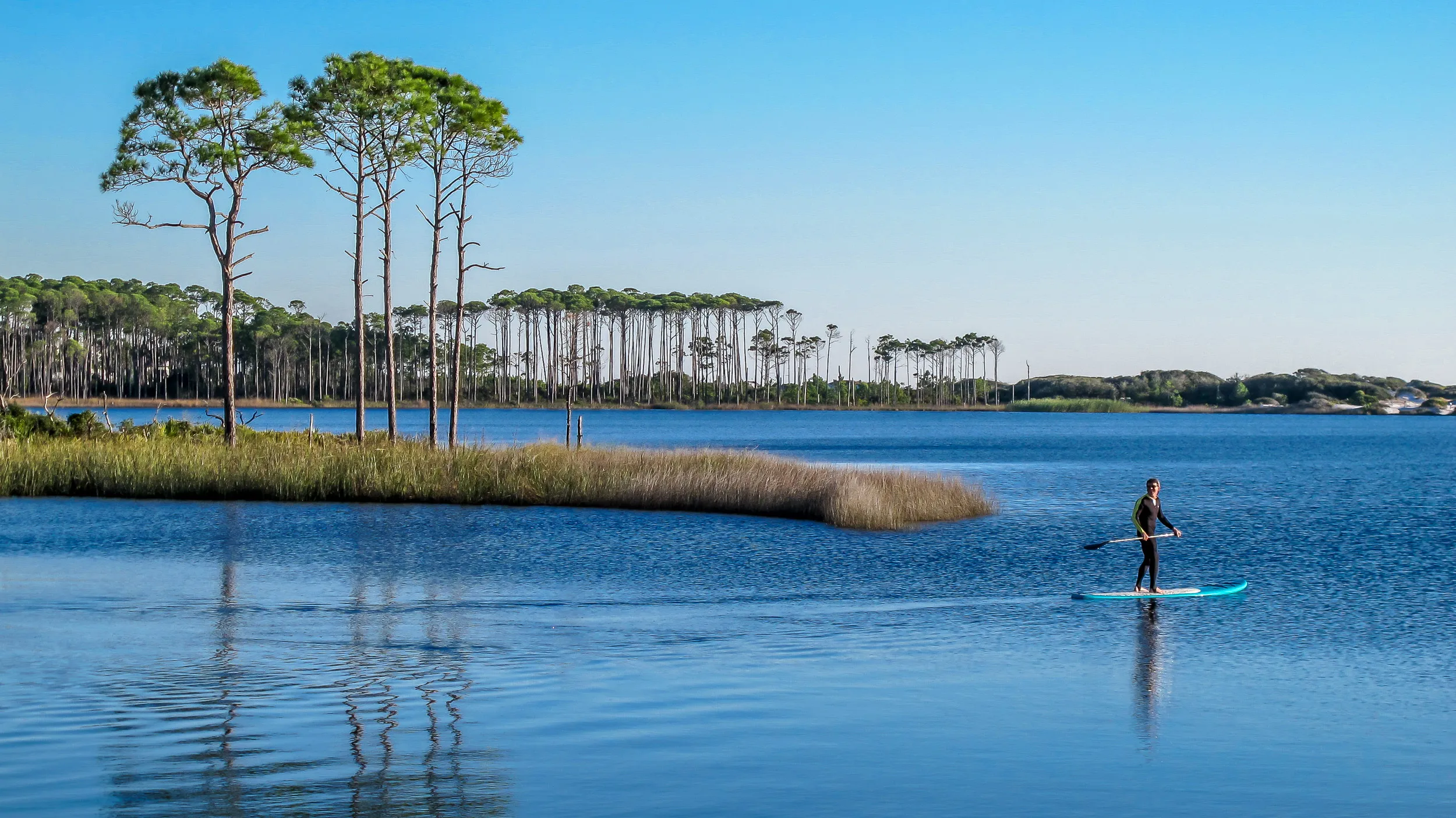 A lone paddleboarder gliding across calm, open water past a marsh-grass island and tall pines on a clear morning