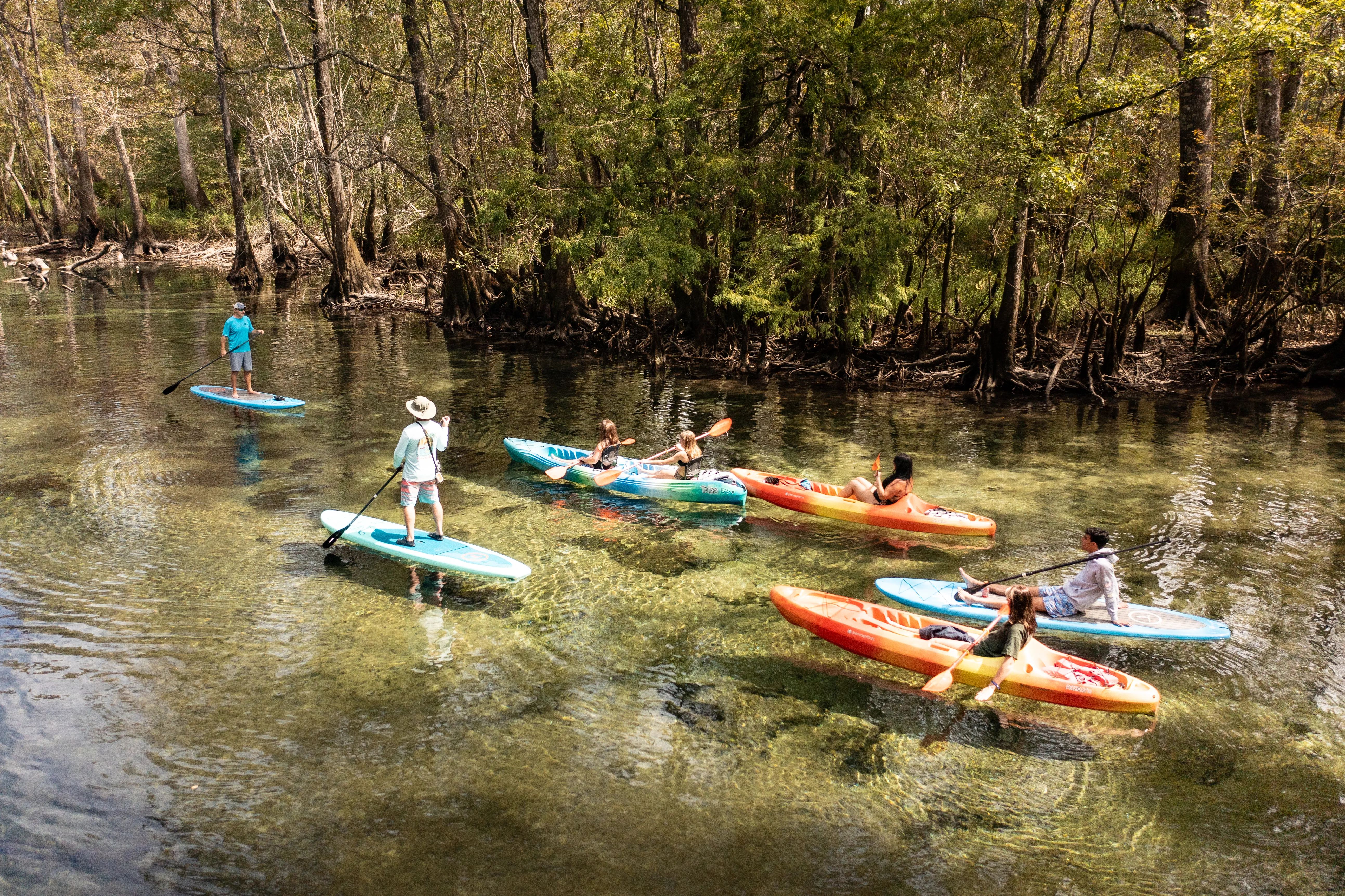 A guide and several paddlers move together across the clear, shallow water of a cypress-lined creek, paddleboards and kayaks catching dappled sunlight through the canopy