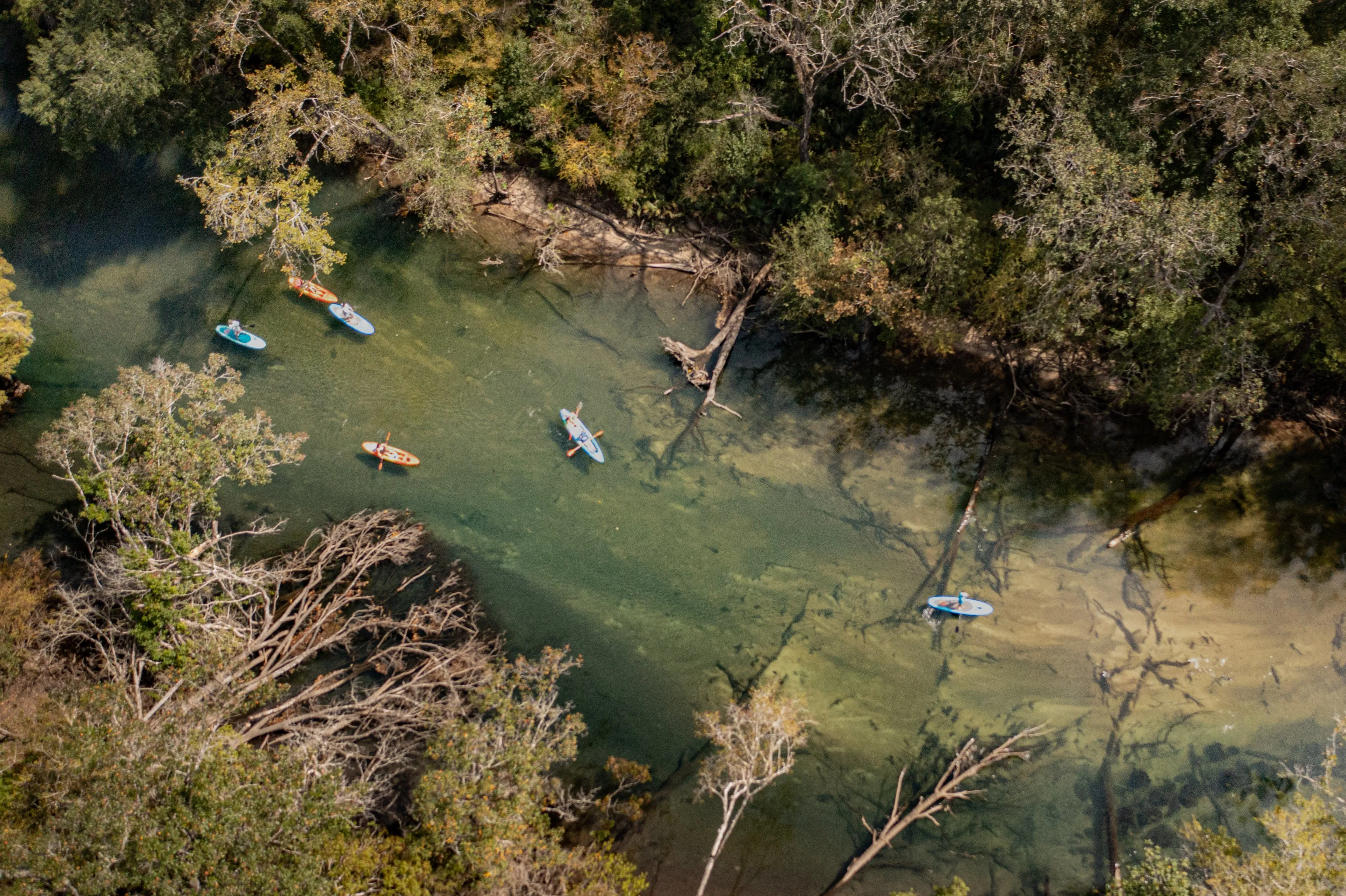 An aerial view straight down onto a winding spring-fed creek, its tannic green water threading between dense cypress canopy, with small kayaks and paddleboards visible below
